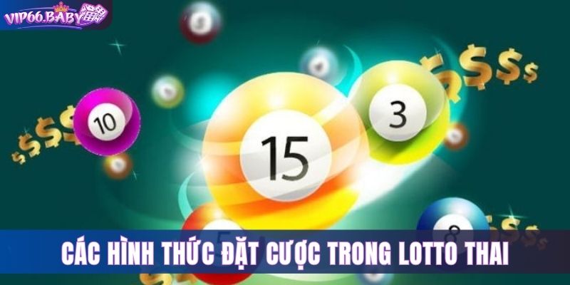 Các hình thức đặt cược trong Lotto Thai