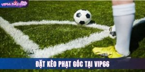 Kèo Phạt Góc Vip66 - Kinh Nghiệm Đặt Cược Hiệu Quả Nhất