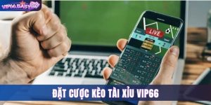 Kèo Tài Xỉu Vip66 - Bí Kíp Đặt Cược Giúp Bạn Trúng Lớn