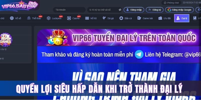 Quyền lợi siêu hấp dẫn khi trở thành đại lý của đơn vị 