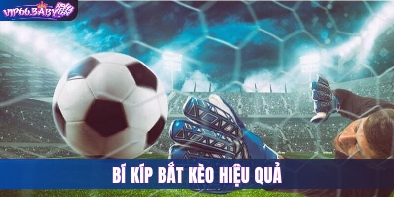 Tips bắt kèo Vip66 thành công nhất