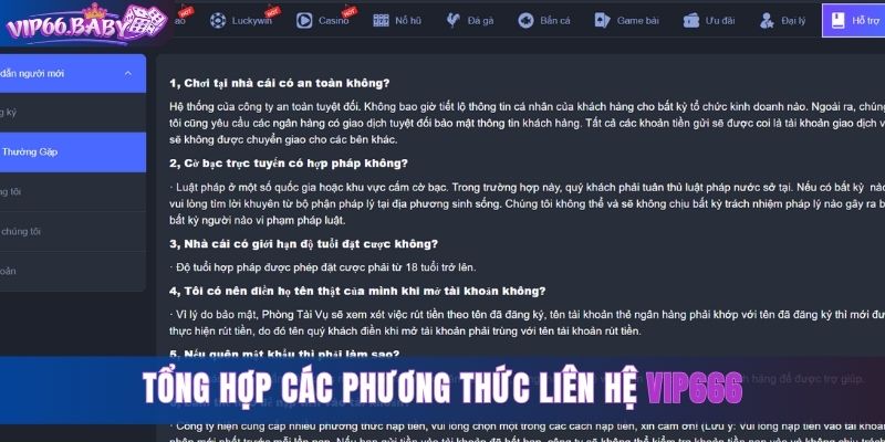 Tổng hợp các phương thức liên hệ Vip66 