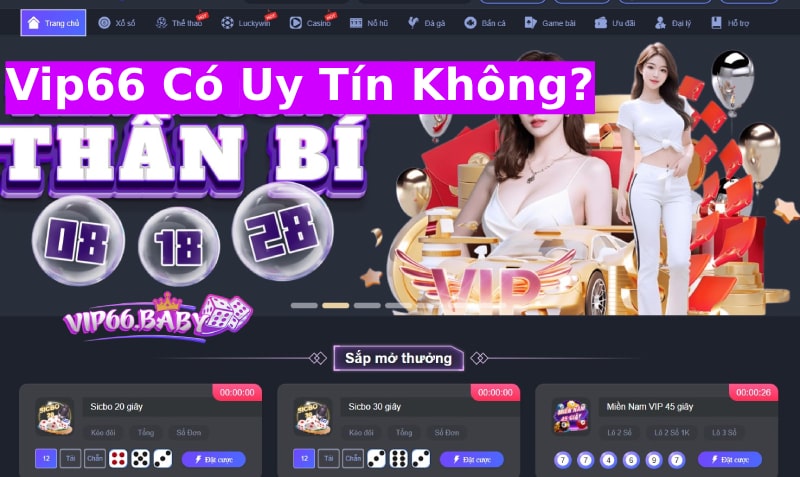 Vip66 có uy tín không