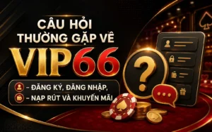 Câu Hỏi Thường Gặp Về VIP66