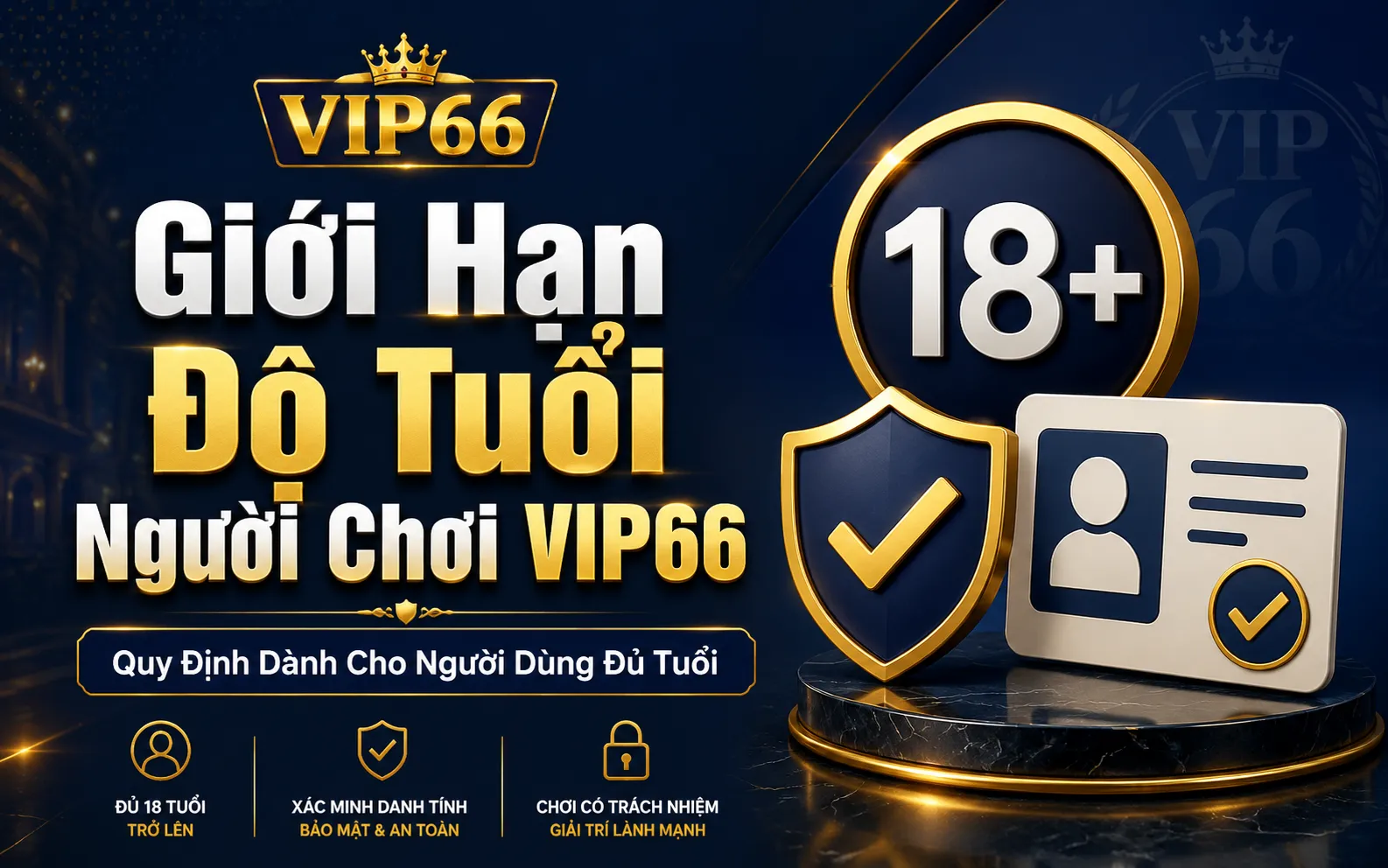 Giới Hạn Độ Tuổi Người Chơi VIP66 – Quy Định Dành Cho Người Dùng Đủ Tuổi 1 Giới Hạn Độ Tuổi Người Chơi VIP66