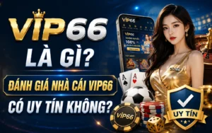 VIP66 Là Gì