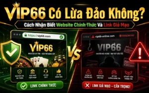 VIP66 có lừa đảo không