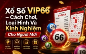 Xổ số VIP66 là gì